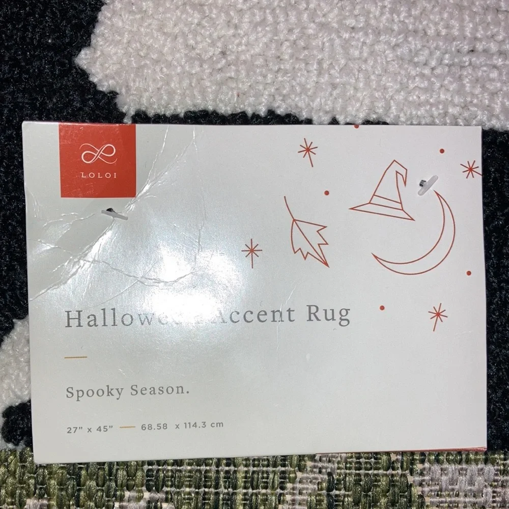 Loloi Ghost accent rug 27x45” Large viral tiktok
